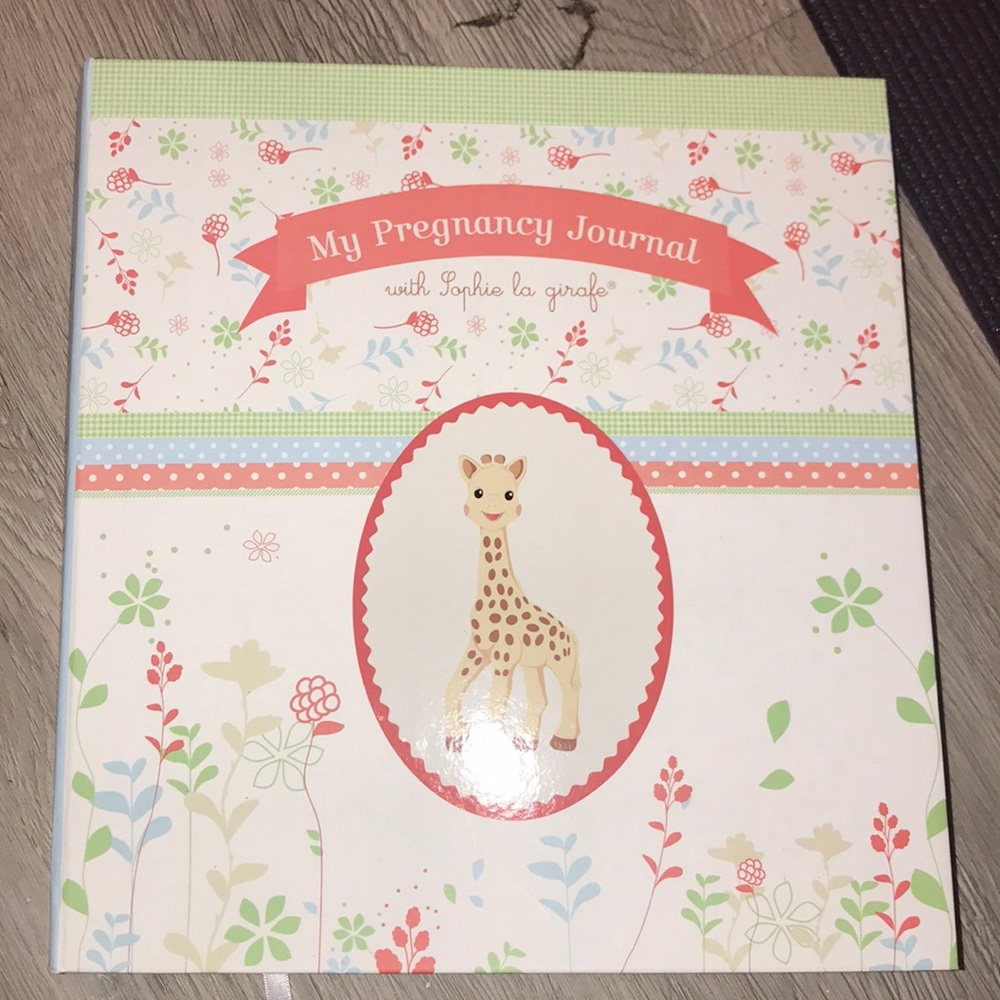 Pregnancy journey journal